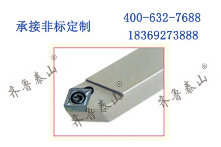 CBS 替換式搪孔刀柄 CBS Interchangeable boring cutter